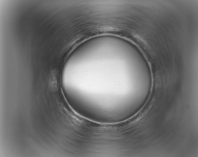 X0000068731305200605121507