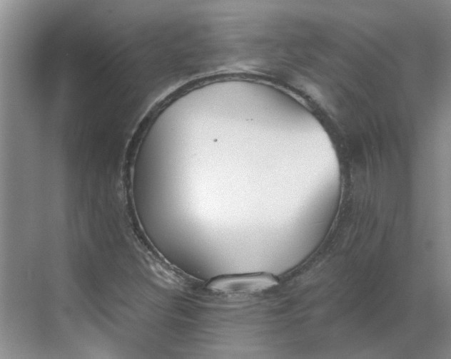 X0000068731308200605121507