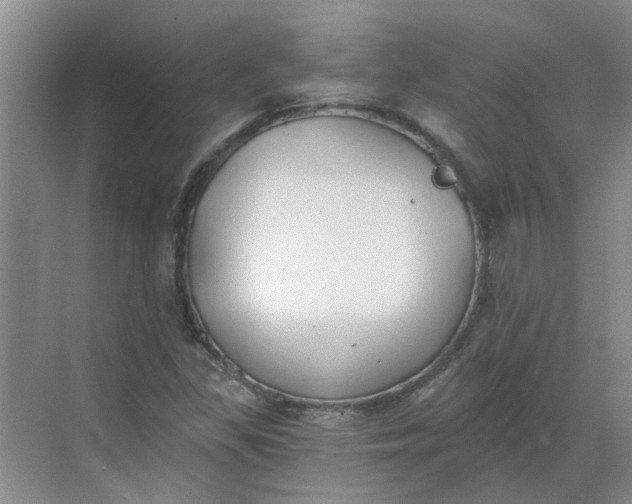 X0000068731309200605121507