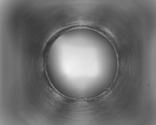 X0000068731310200605121507