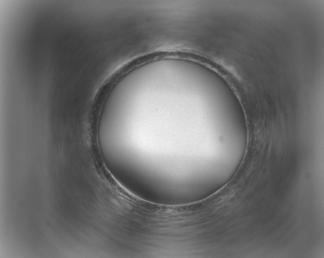 X0000068731311200605121508