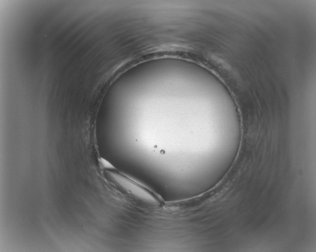 X0000068731313200605121508