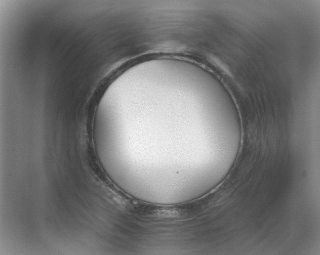 X0000068731315200605121508