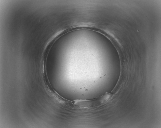 X0000068731317200605121508