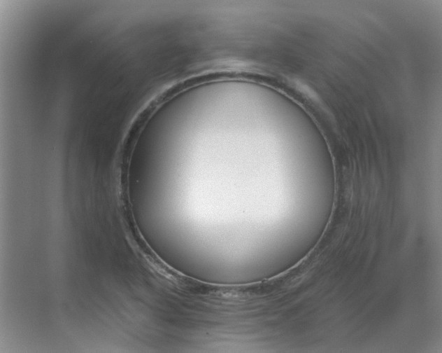 X0000068731318200605121508