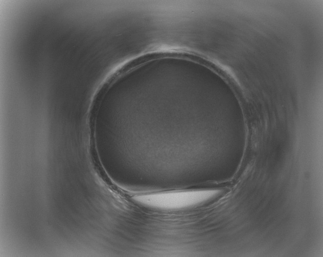 X0000068731319200605121508