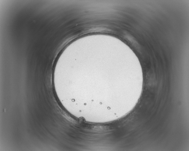 X0000068731322200605121508