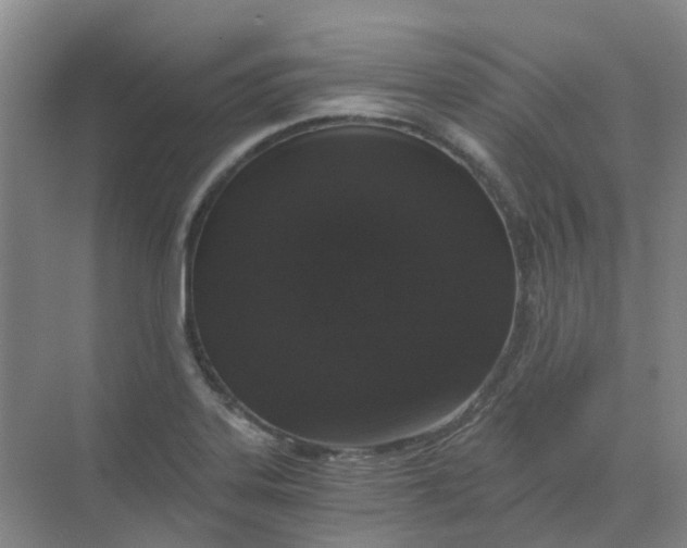 X0000068731323200605121508