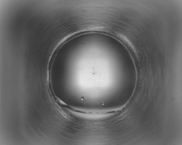 X0000068731324200605121508