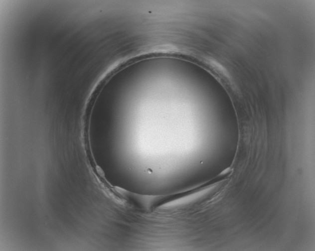 X0000068731326200605121508