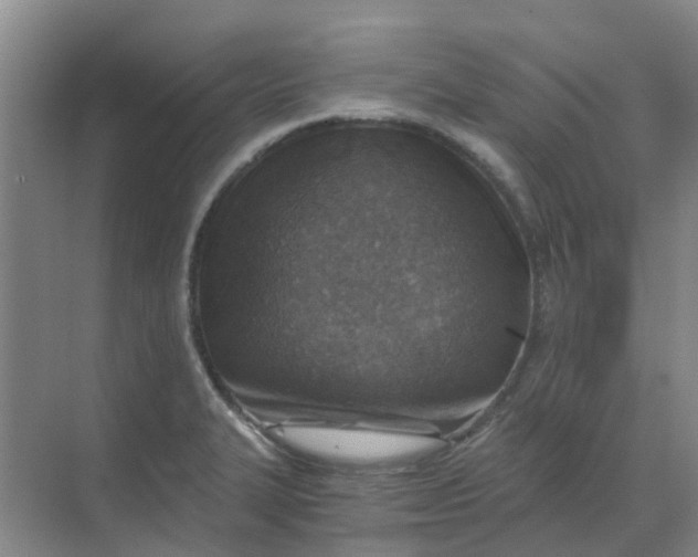 X0000068731327200605121508