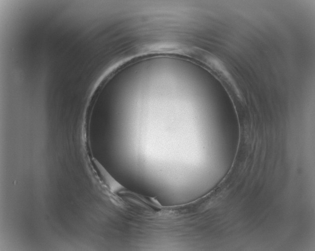 X0000068731328200605121508