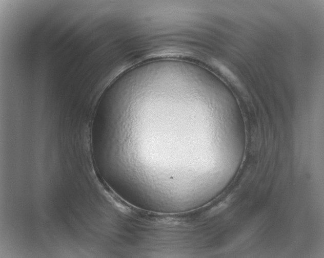 X0000068731329200605121508