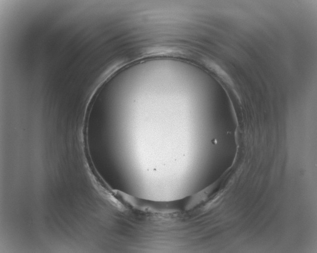 X0000068731330200605121508