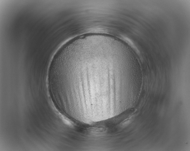 X0000068731331200605121508