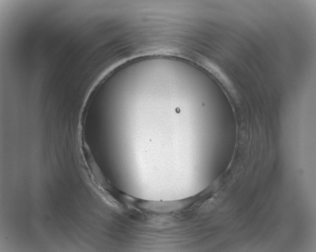 X0000068731332200605121508