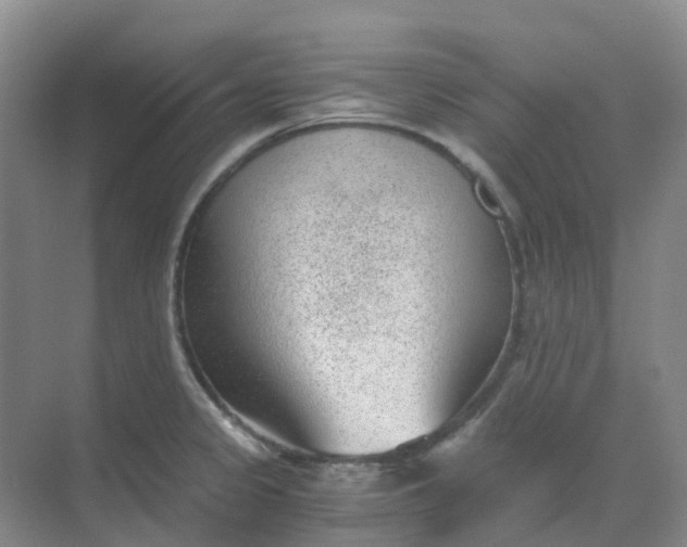 X0000068731333200605121508