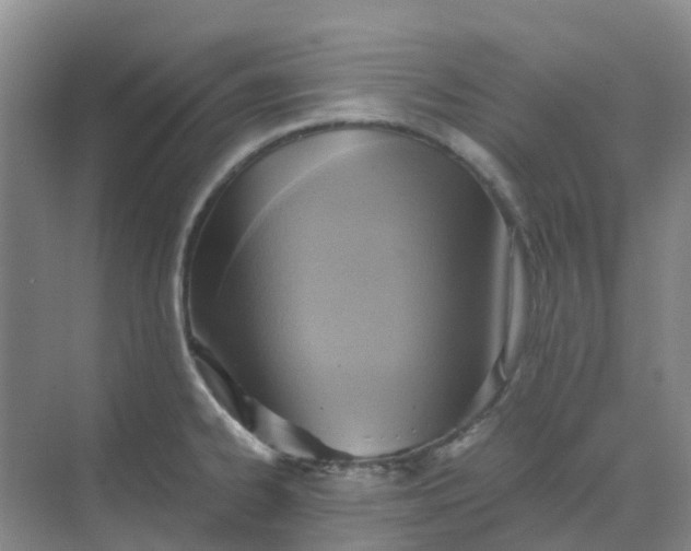 X0000068731334200605121508