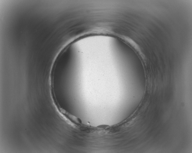 X0000068731335200605121508