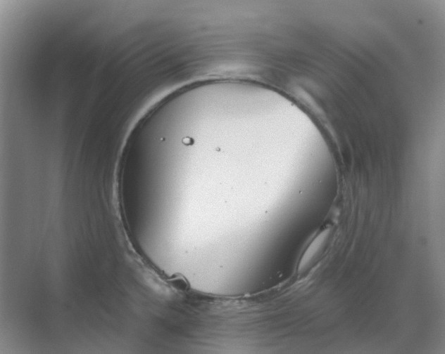 X0000068731336200605121508