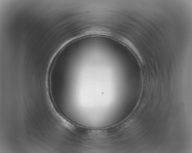 X0000068731339200605121508