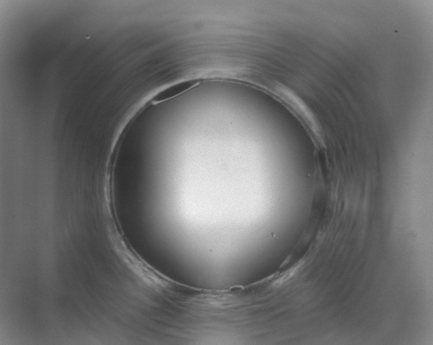 X0000068731340200605121508