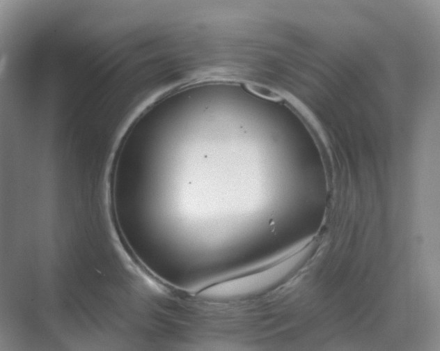 X0000068731341200605121508