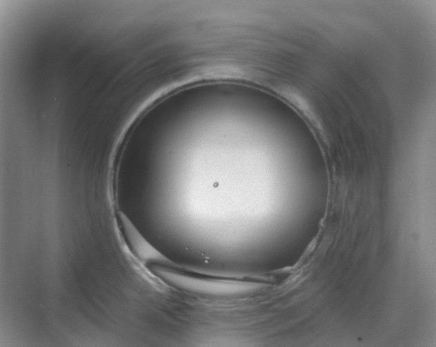 X0000068731342200605121508