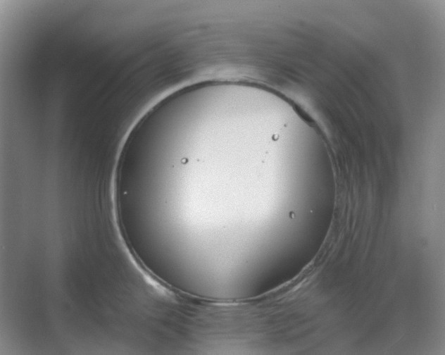 X0000068731343200605121508