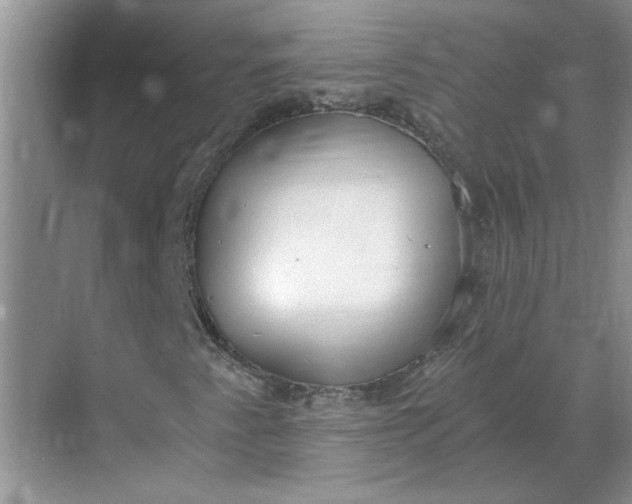 X0000068731345200605121507