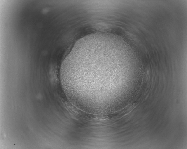 X0000068731346200605121507