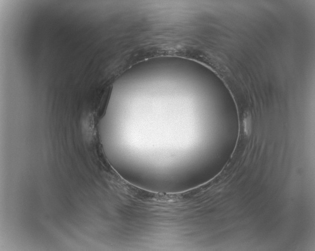 X0000068731347200605121507