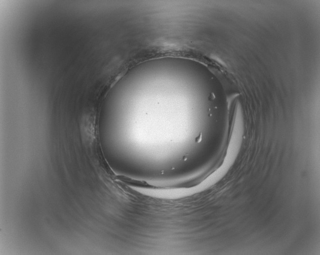 X0000068731348200605121507