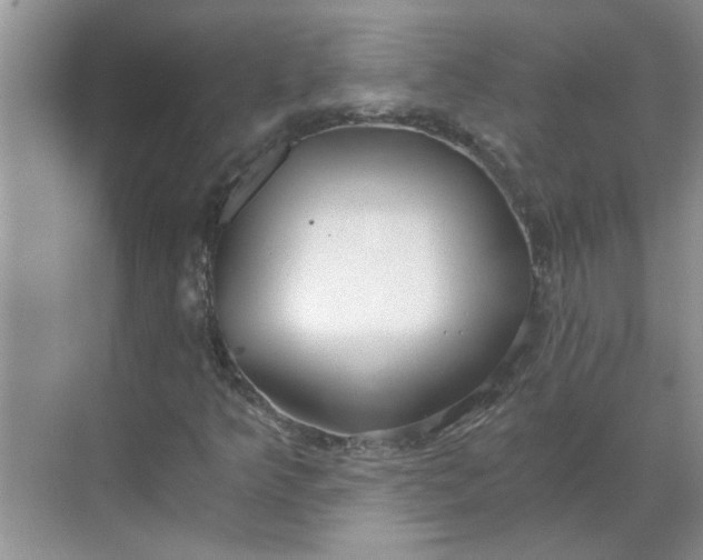 X0000068731349200605121507