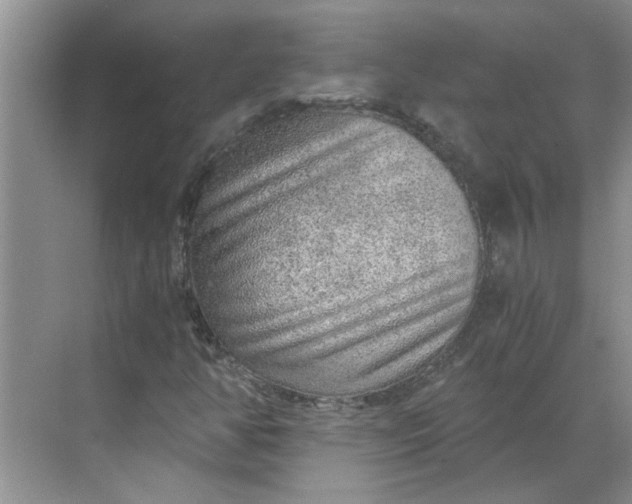 X0000068731350200605121507