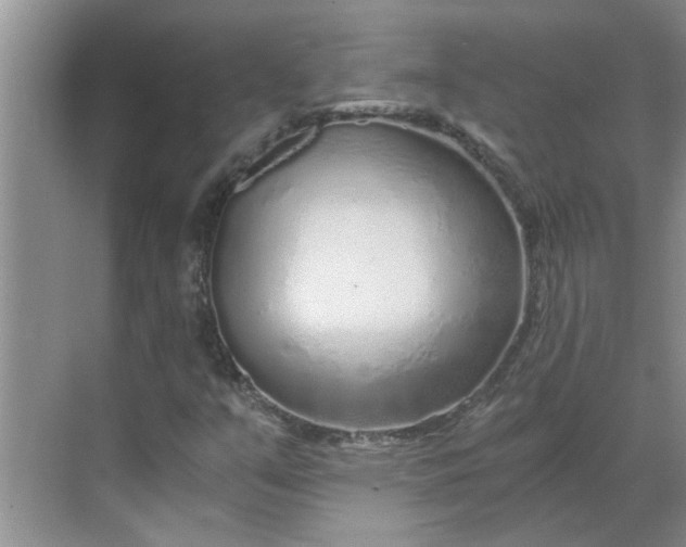 X0000068731351200605121507