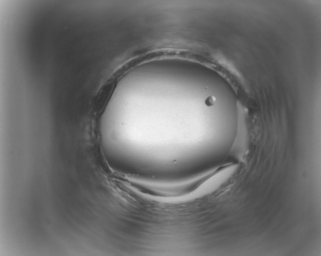 X0000068731352200605121507