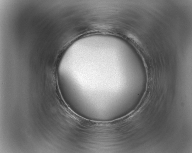 X0000068731354200605121507