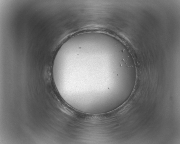 X0000068731355200605121507