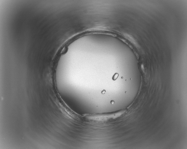 X0000068731356200605121507