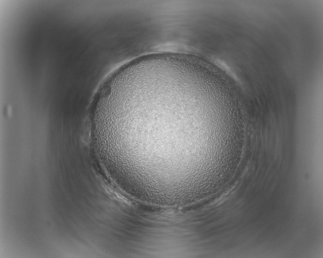 X0000068731358200605121507