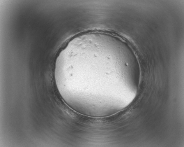 X0000068731359200605121507