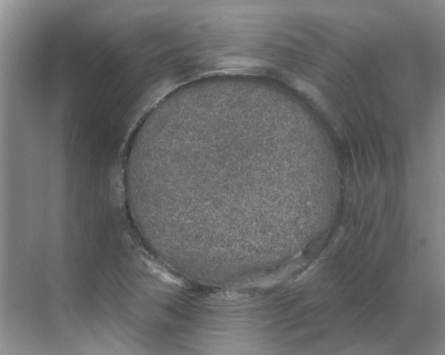 X0000068731362200605121507