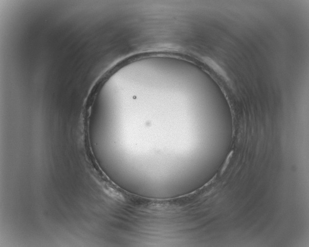 X0000068731364200605121507