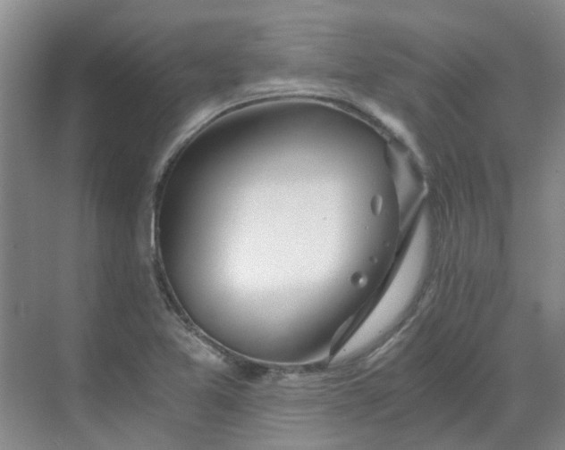 X0000068731365200605121507