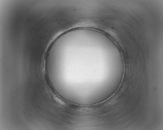 X0000068731366200605121507