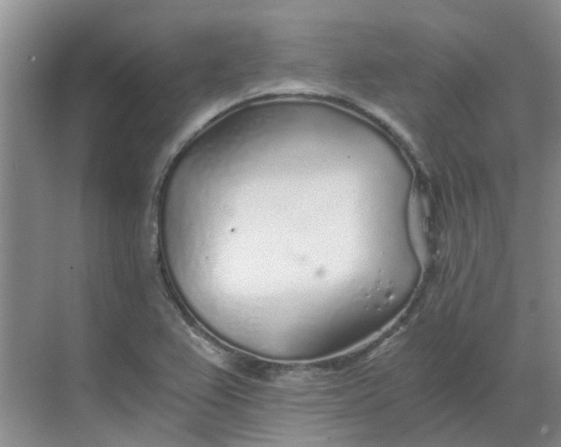 X0000068731367200605121507