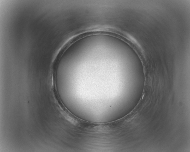 X0000068731368200605121507