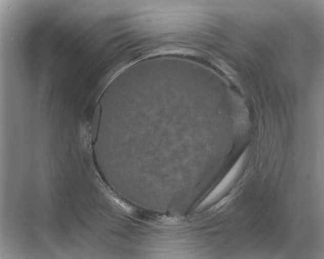 X0000068731369200605121507