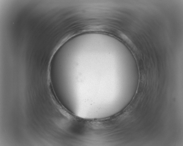 X0000068731370200605121507